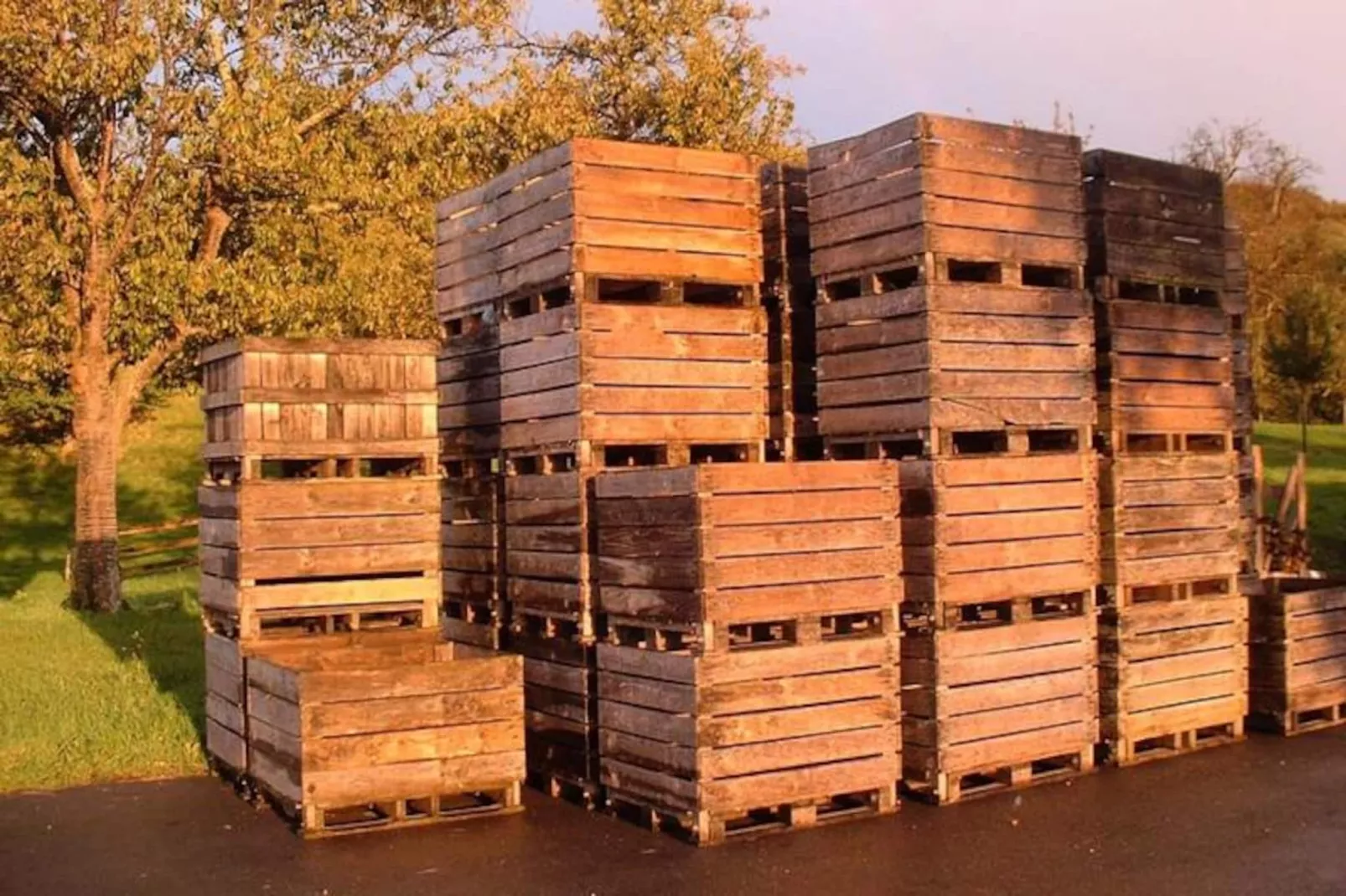 🍎 La Bergeronnette - Domaine D'apreval - Campagne-Image-tags.