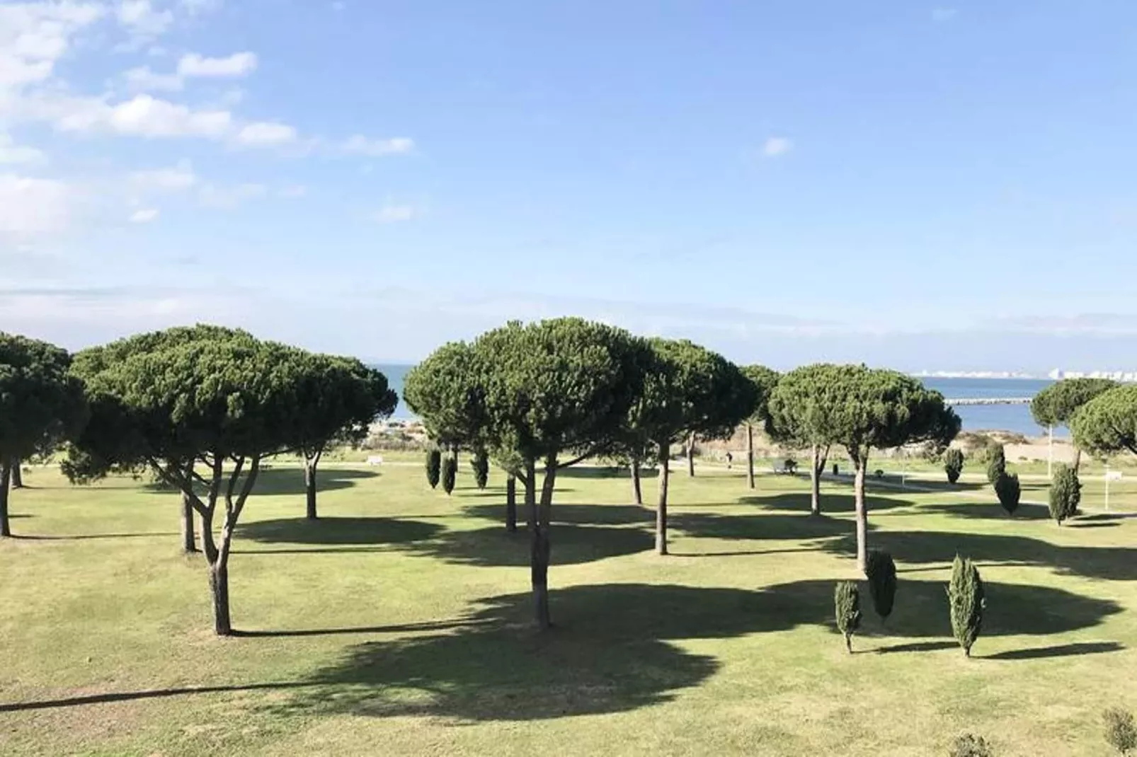 Résidence "le Mireille"-Jardins en été
