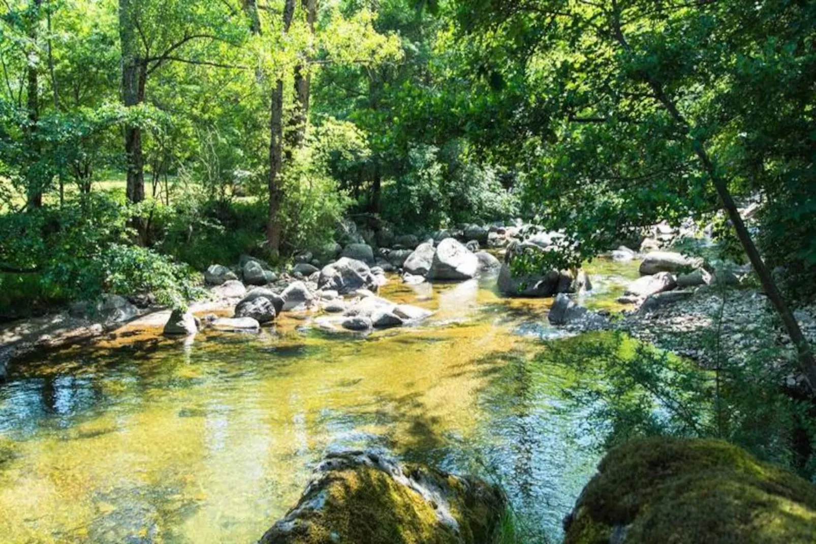 Gîte de France L'etable de pierre 4 épis-Image-tags.