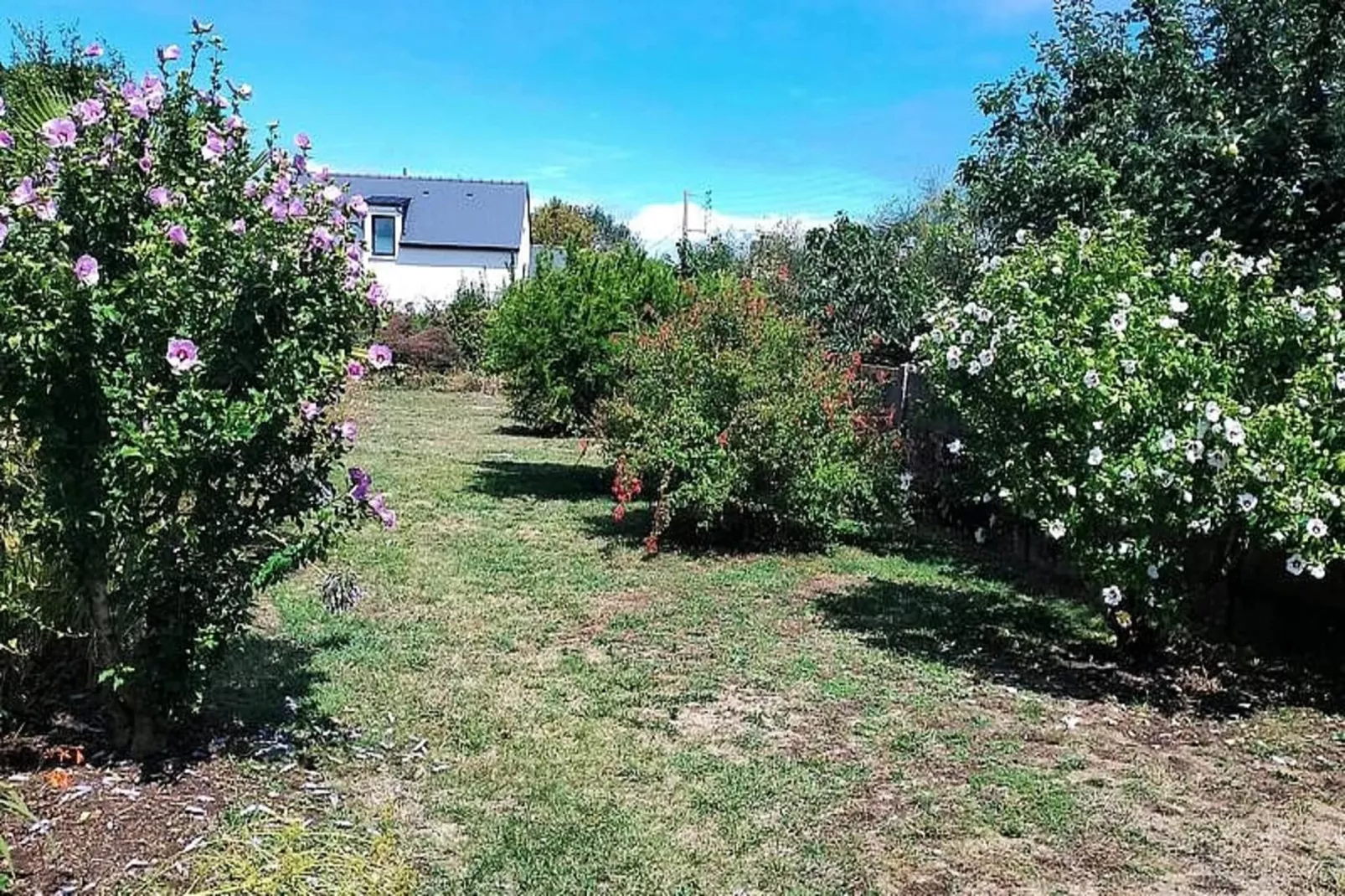 Résidence Liz-sarzeau-Garten Sommer