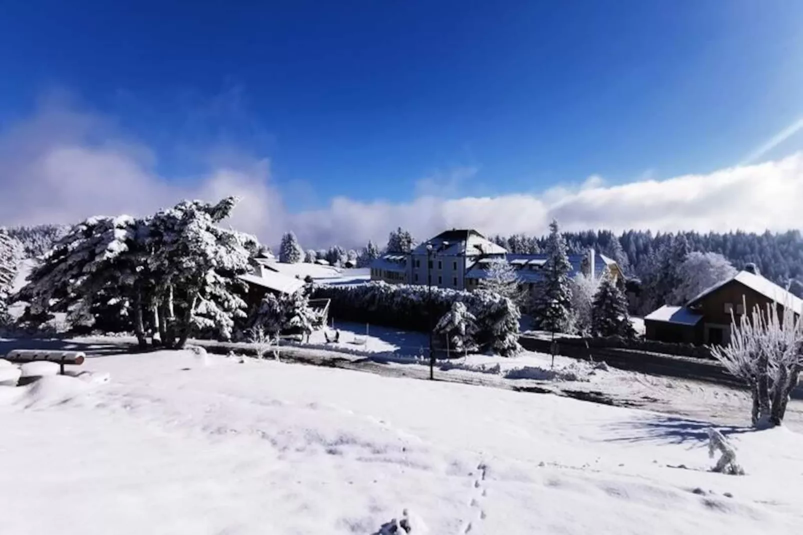 Magnifique Chalet , Vue Sur Le Mont Blanc ***-Image-tags.