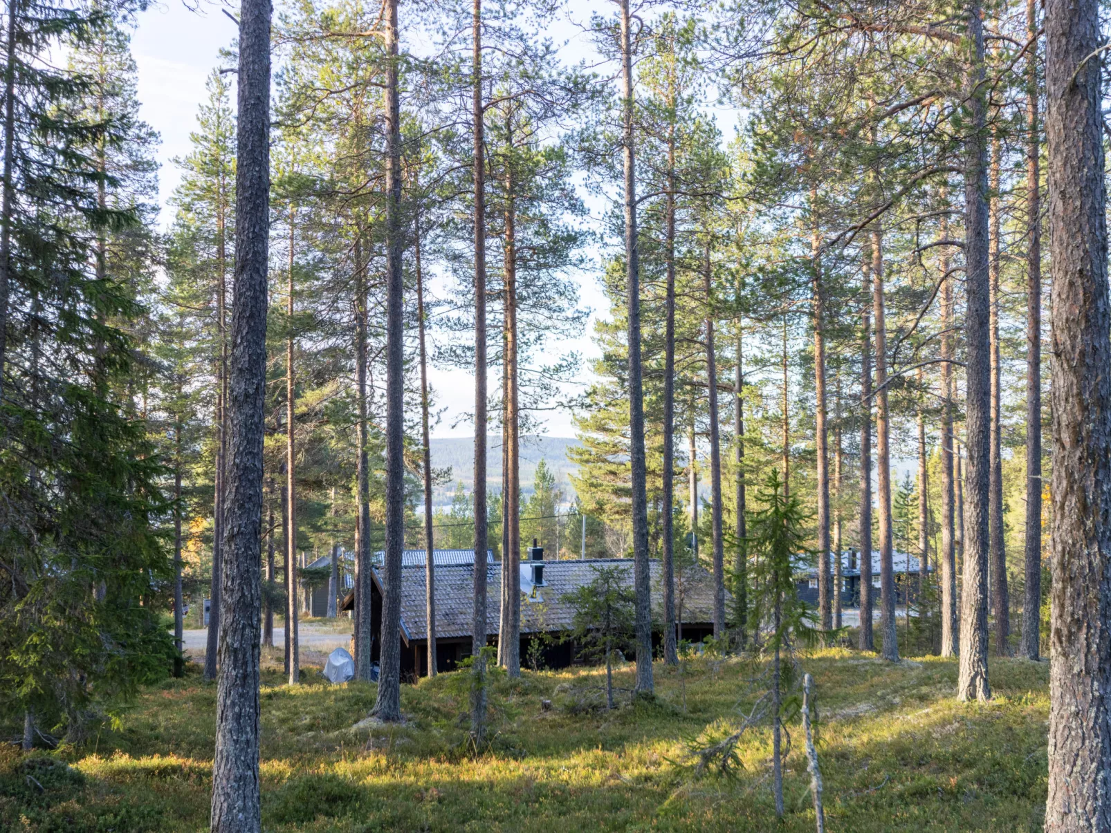 Fjällnästet-Draußen