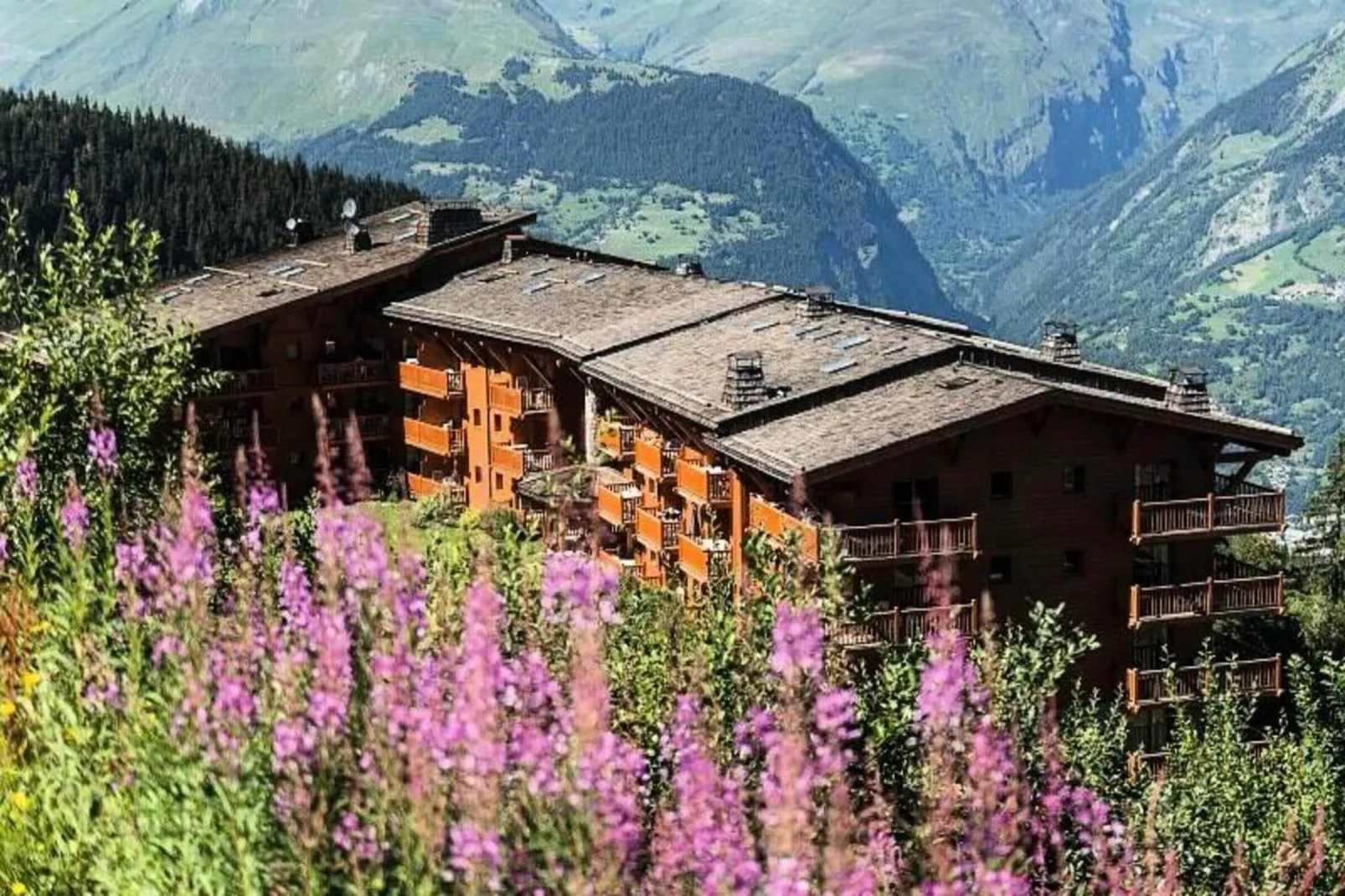 Résidence Les Alpages de Chantel - maeva Home-Außenbereich Sommer