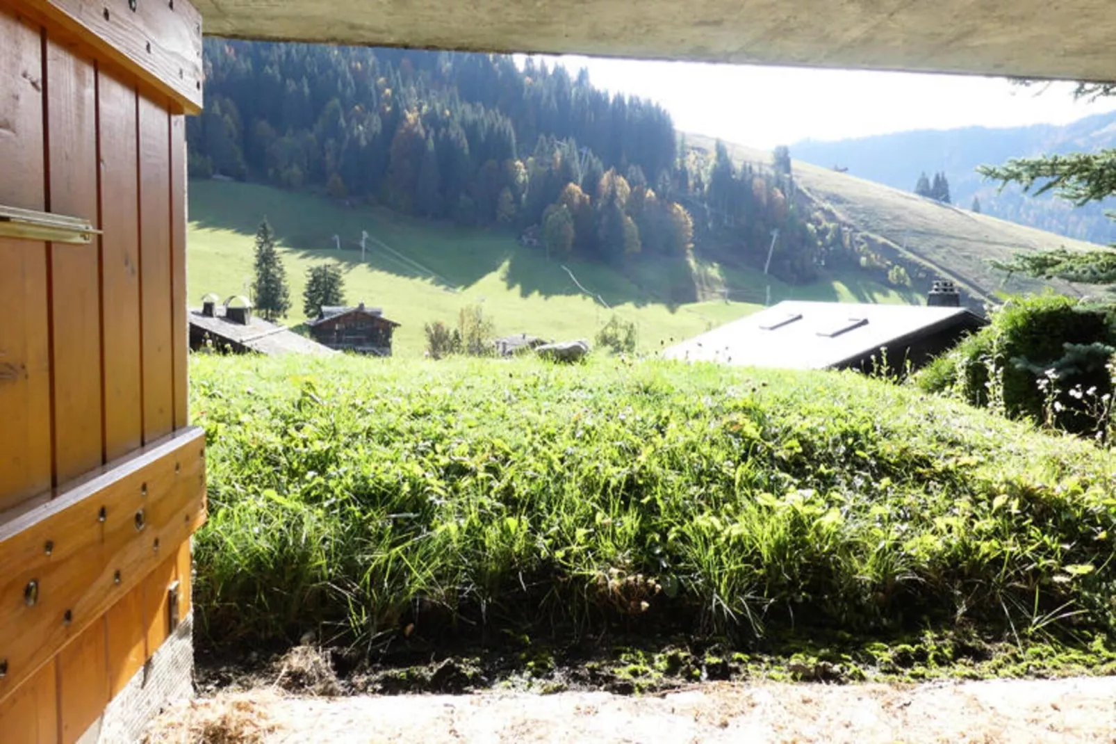 Chalets à La Clusaz-Zones été à 1 km