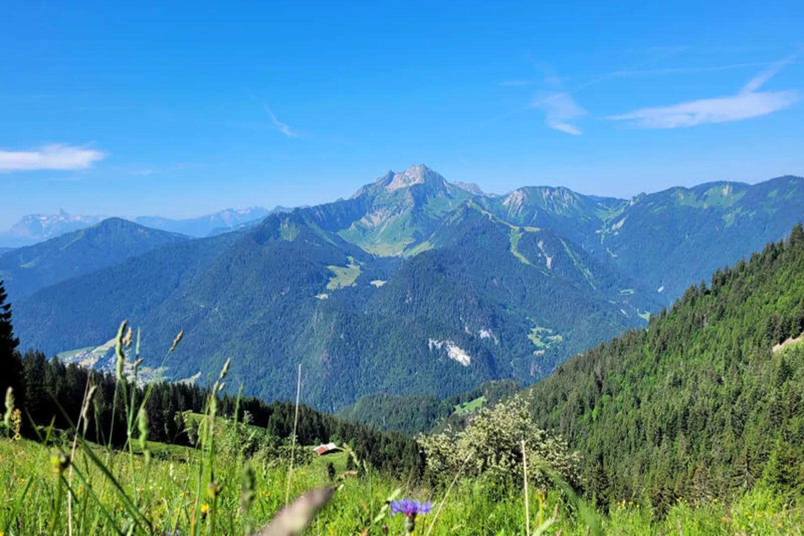 Studio à Saint Jean d'Aulps-Aussicht Sommer