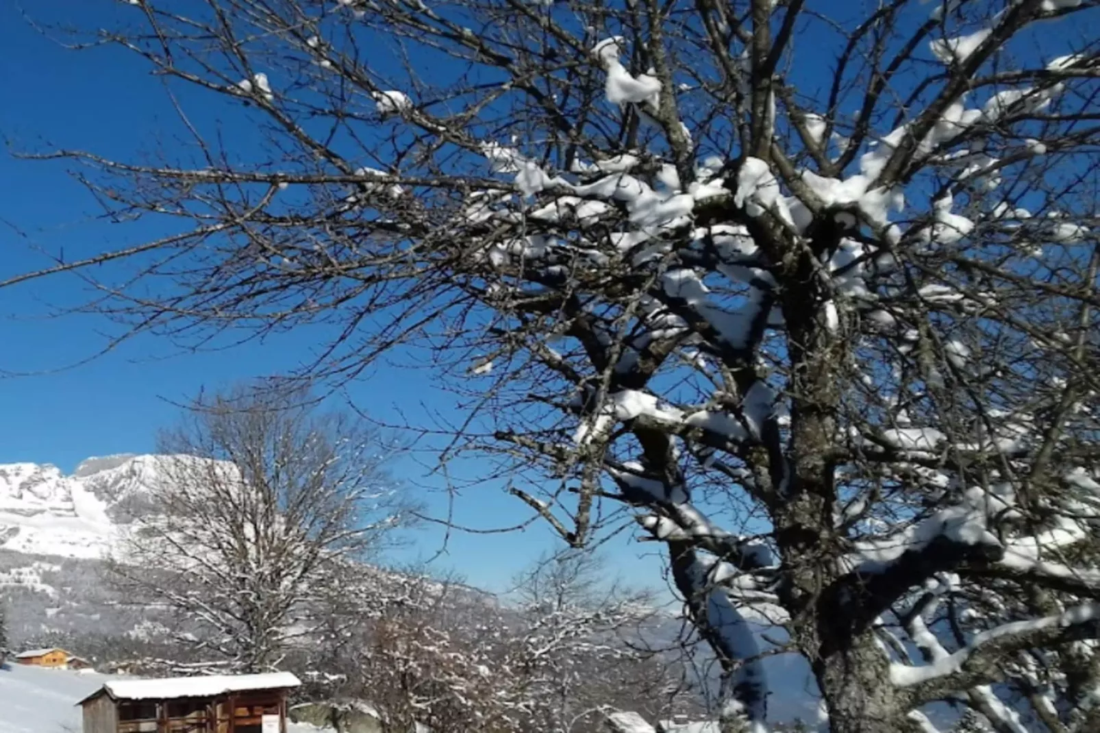 Résidence Villavit-Area within 5km in winter