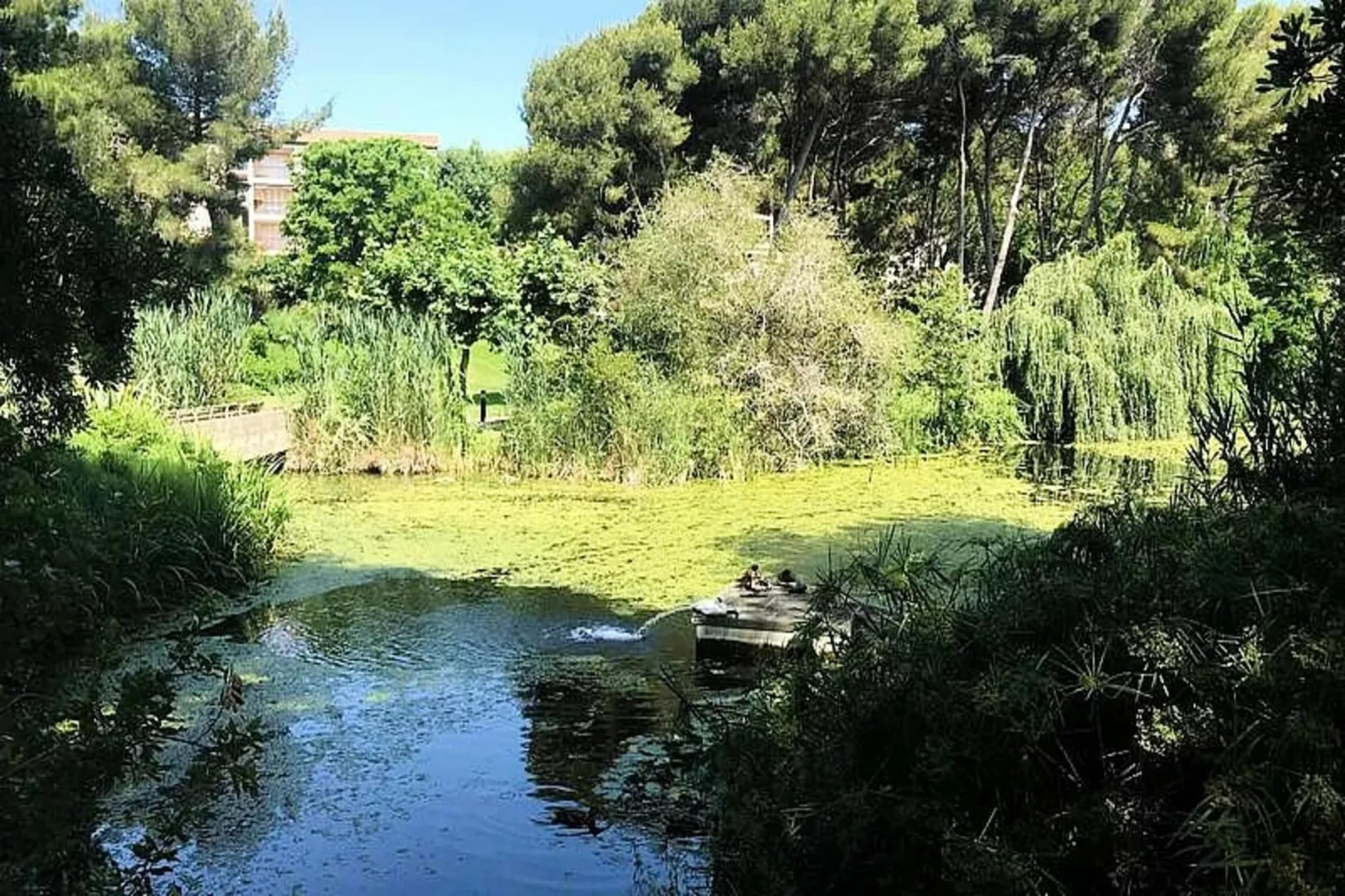 Résidence Marines D'aryana-View in summer