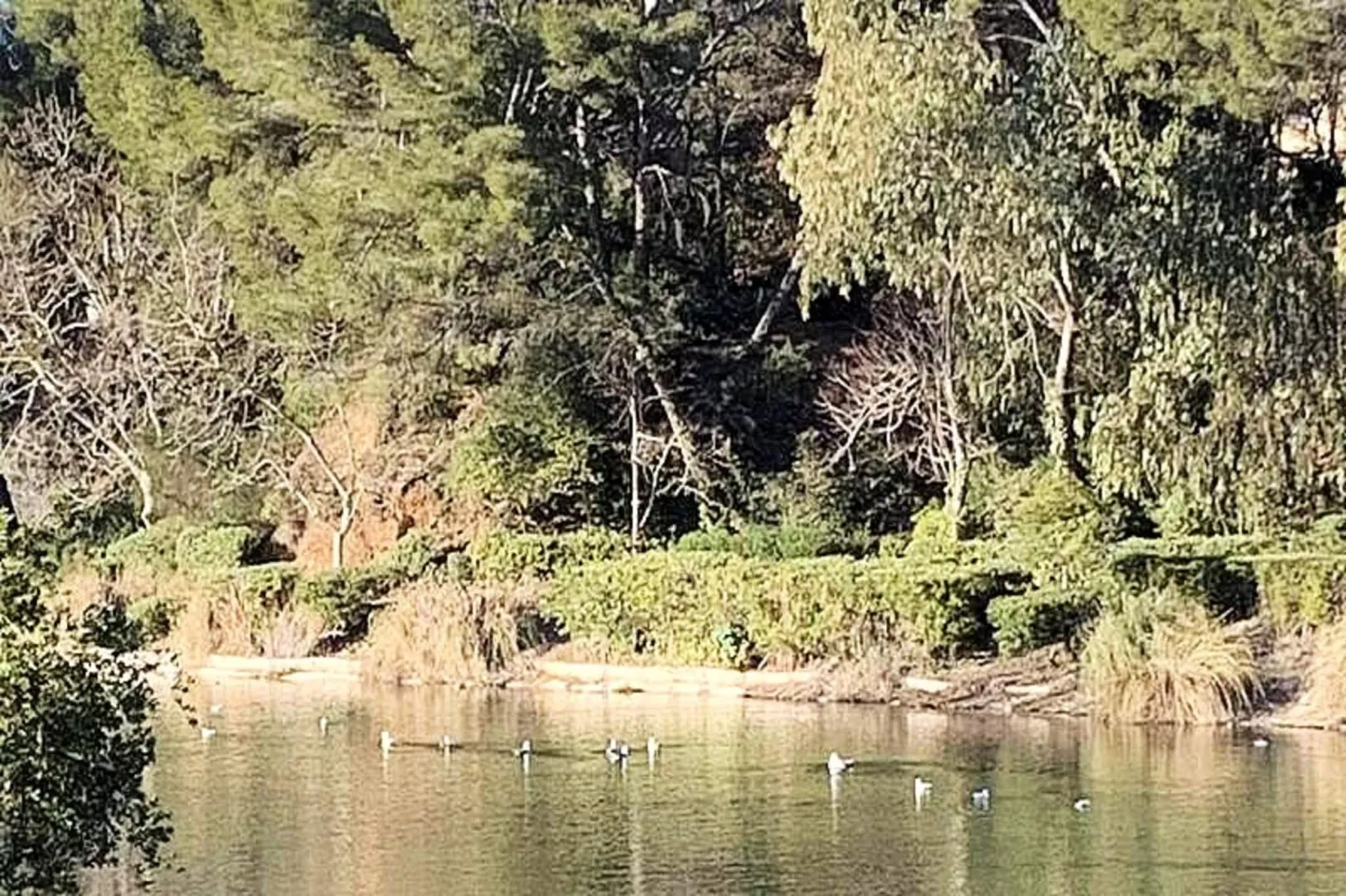 Résidence Verdon-View in summer
