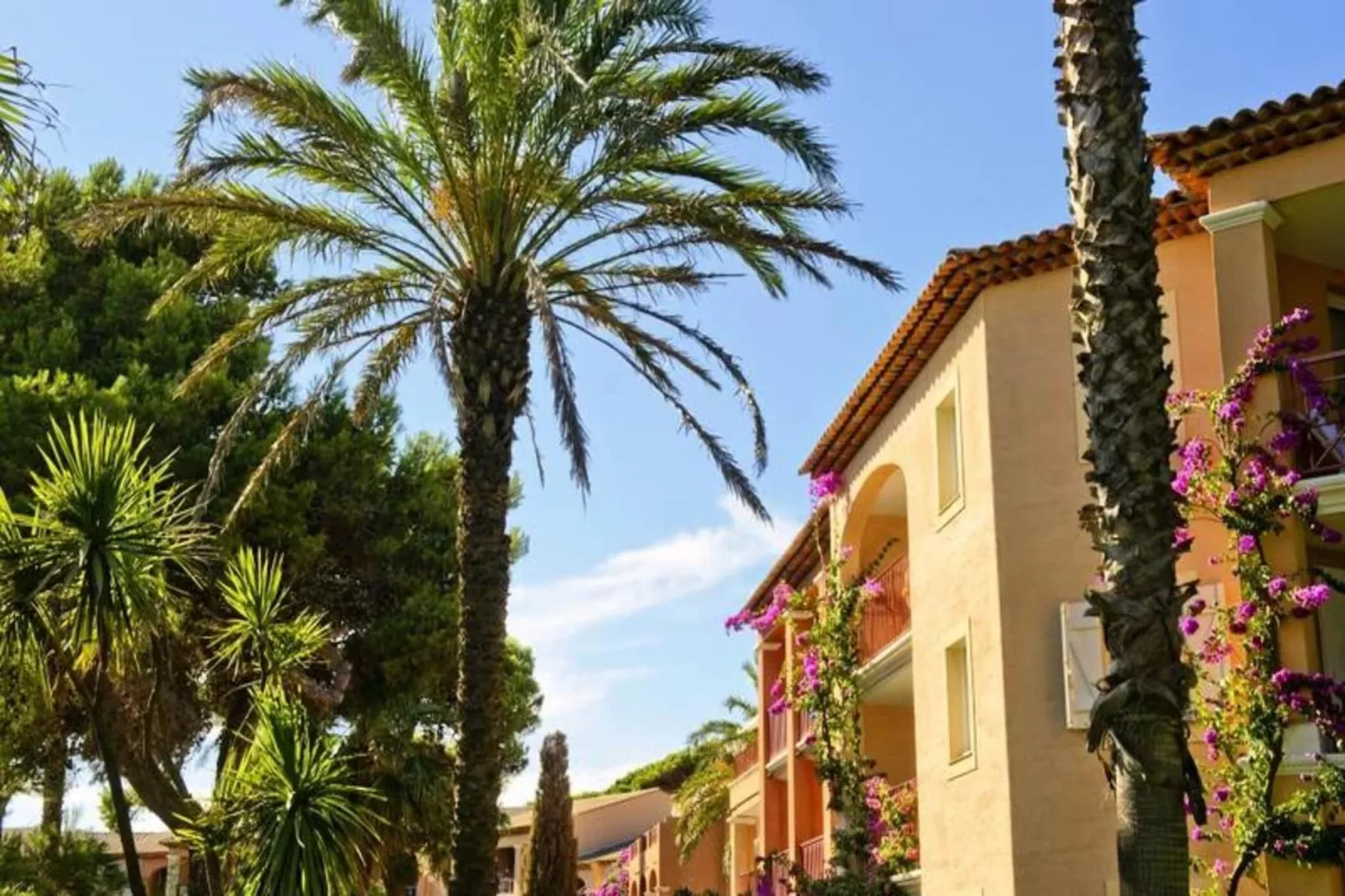 Résidence La Pinède - maeva Home-Extérieur été