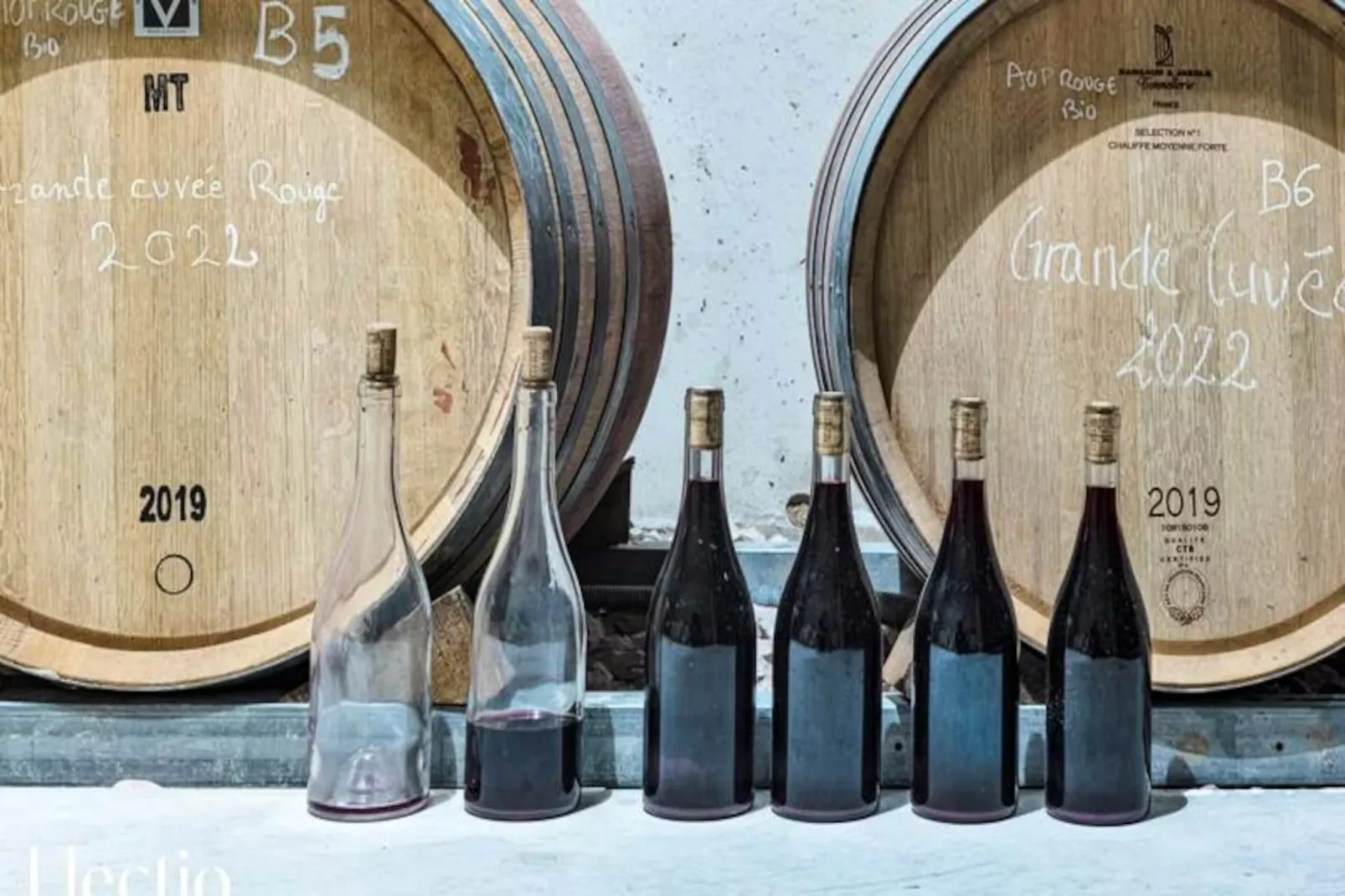 Petite Bastide | Domaine Tour Campanets-Image-tags.