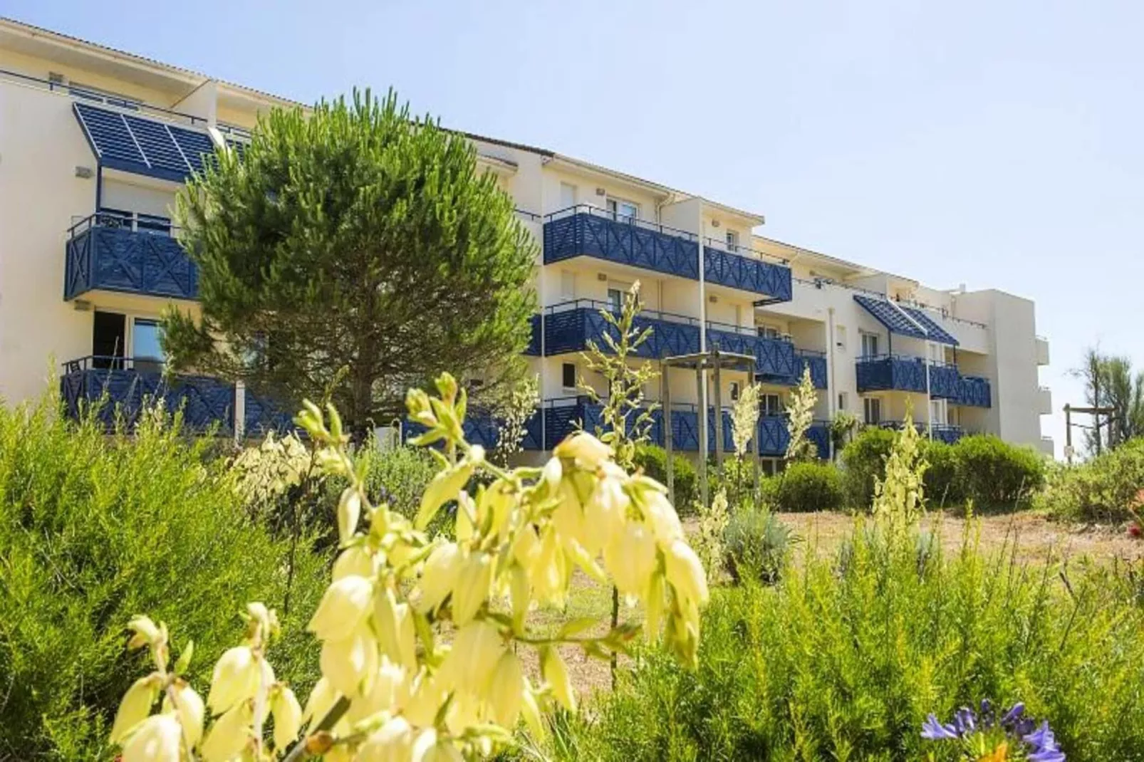 Résidence Bleu Marine - maeva Home-Exterior in summer