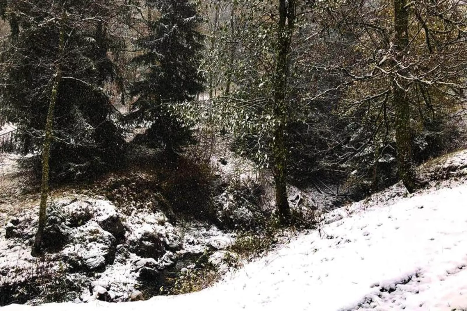 Résidence Sapiniere-Area within 1km in winter