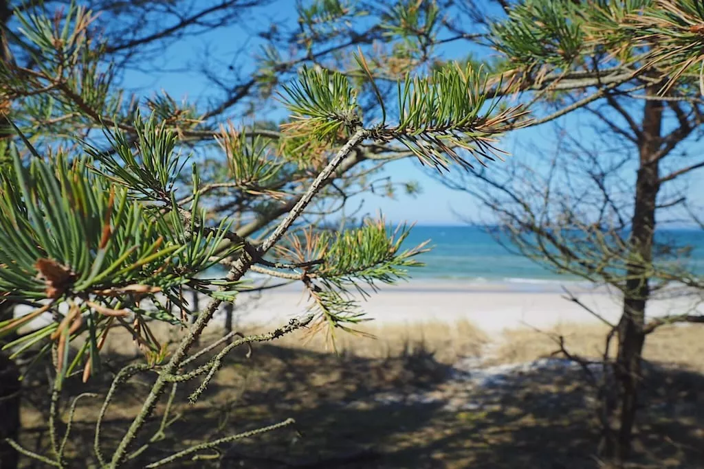 241000-Nicht zugeordnet