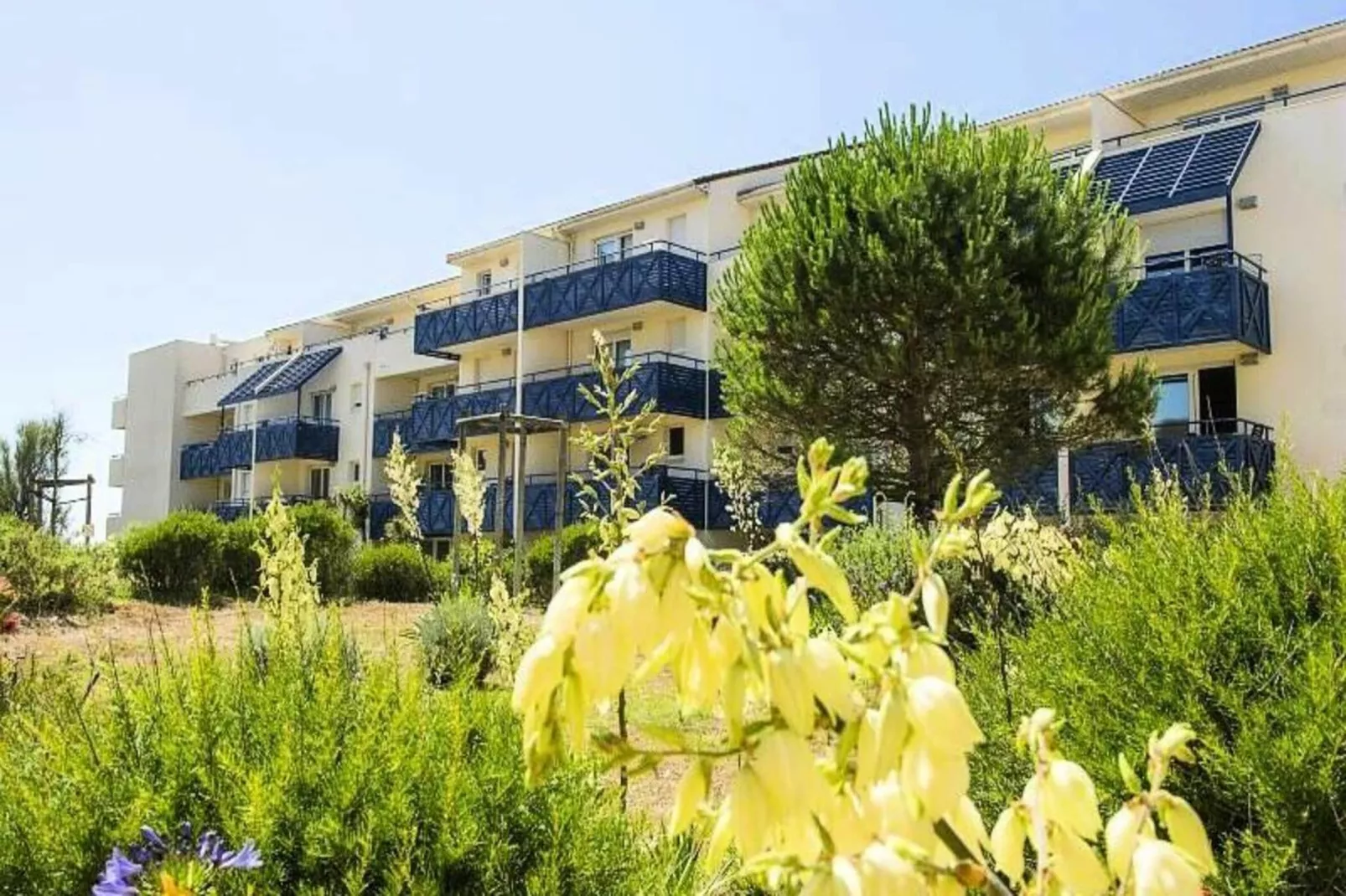 Résidence Bleu Marine - maeva Home-Areas within 1km in summer