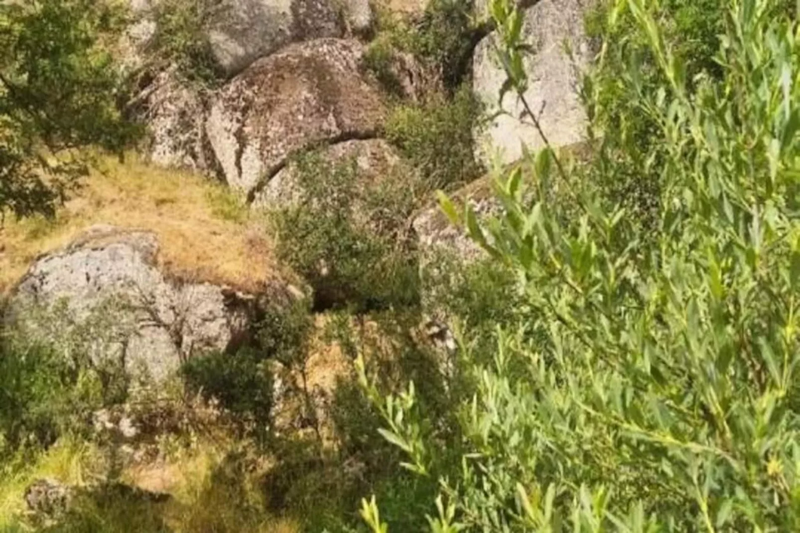 Gîte de France Lou vachou 4 épis-Image-tags.