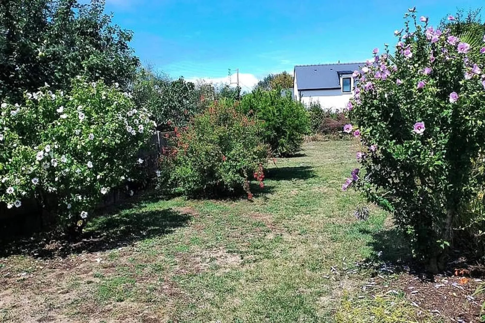 Résidence Liz-sarzeau-Garten Sommer