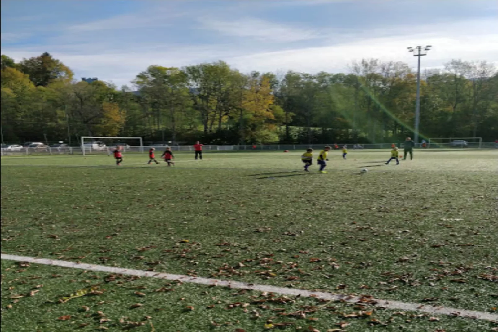 Résidence Stallion A-Gebiete Sommer 20 km