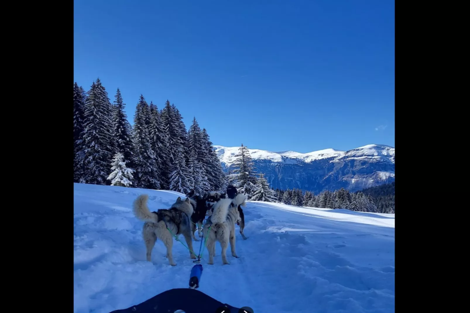 Résidence Floralie - Domaine Des Lapons 2-Area within 5km in winter