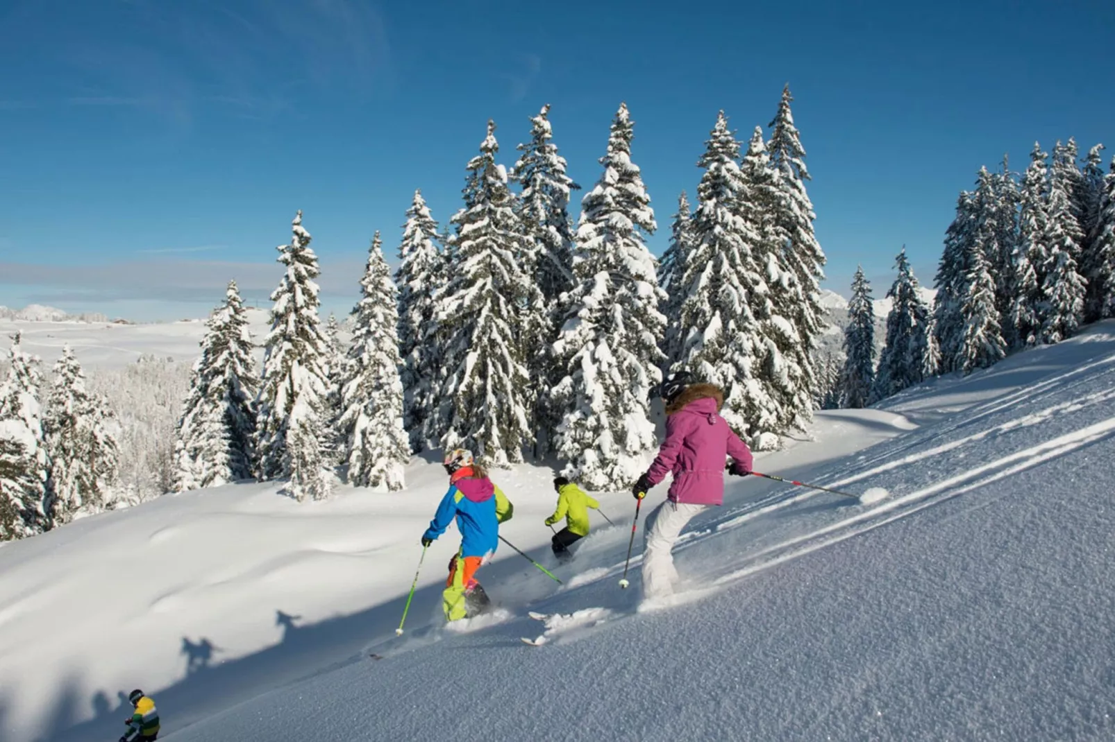 Appartements à La Clusaz - Gebiet Winter 5 km