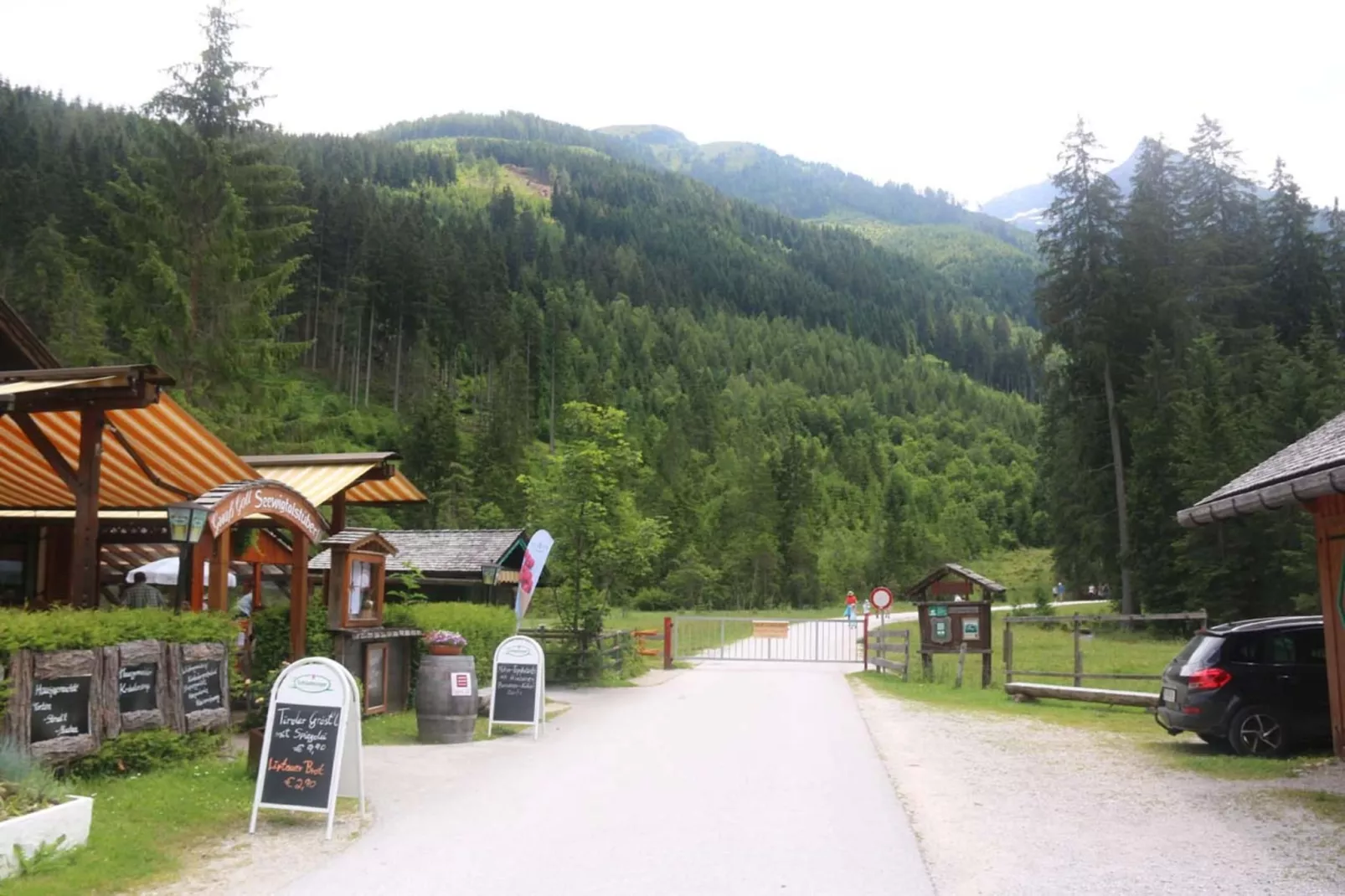 Appartements à Les Carroz-d'Arâches-Zones été à 5 km
