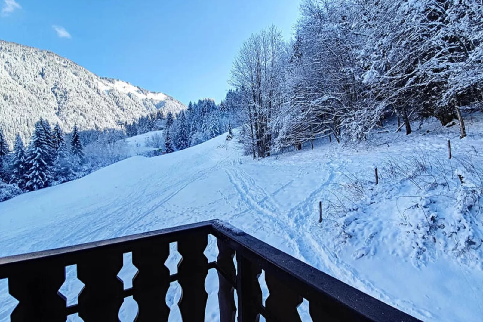 Appartements à Saint Jean d'Aulps-Vue d'hiver