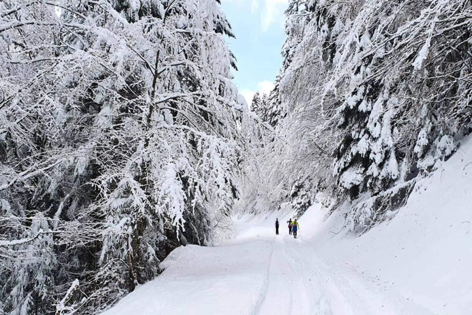 Appartements à Saint Jean d'Aulps-Gebiet Winter 5 km