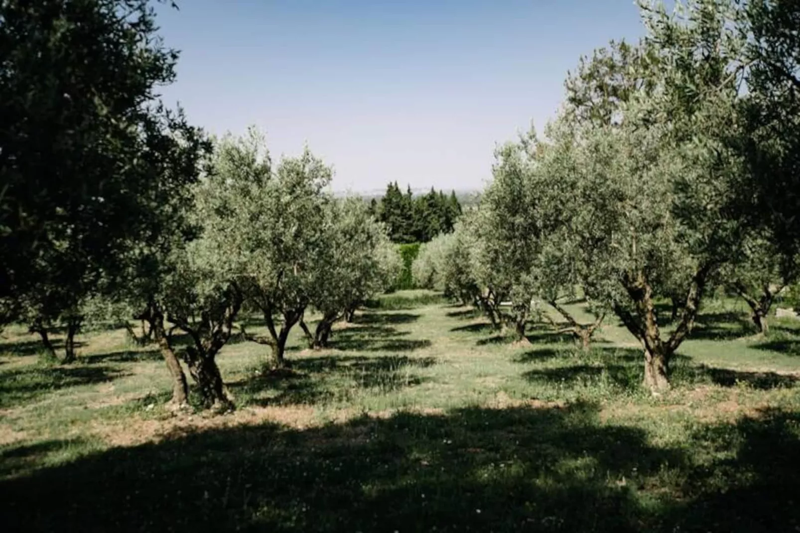 La Voli&egrave;re - Pernes-les-fontaines-Image-tags.