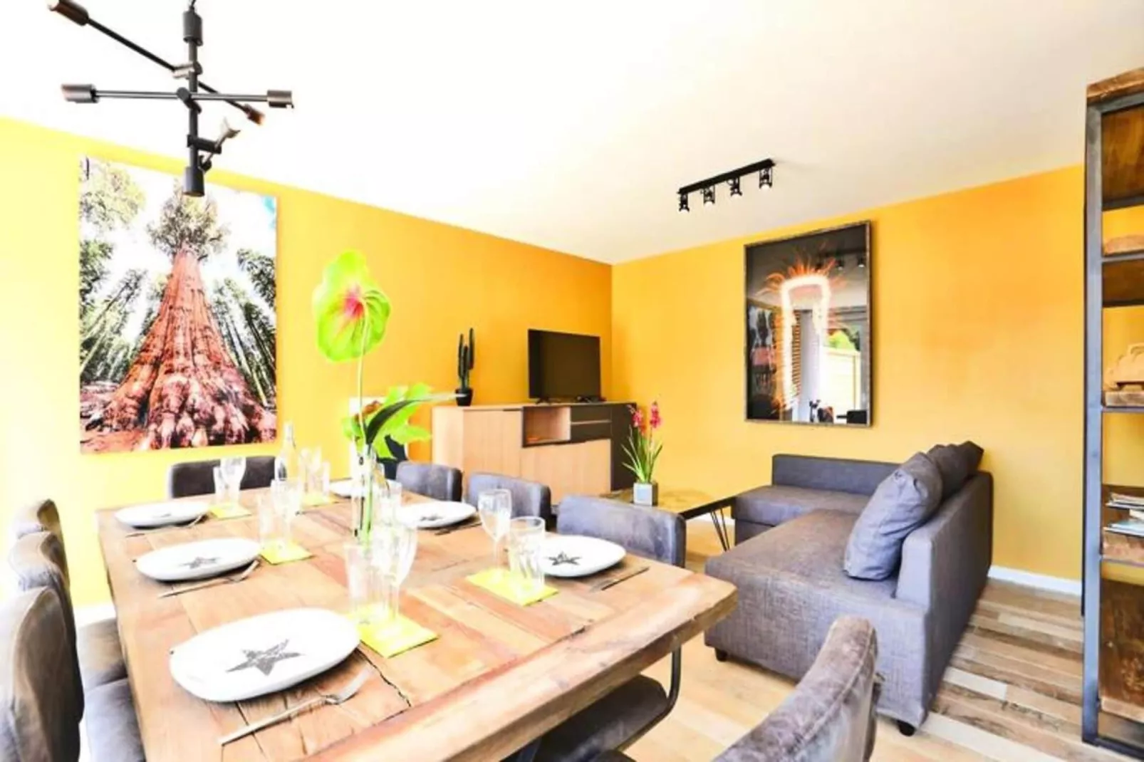 Villa Californie - Domaine Le Sherwood-Exterior in summer