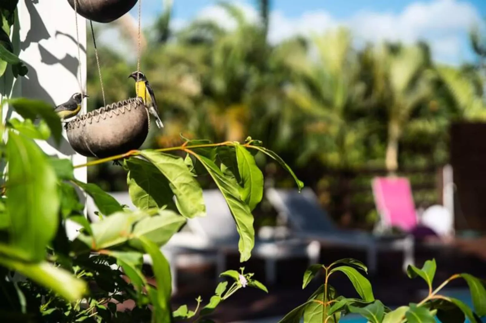 Villa La Palmeraie-Image-tags.