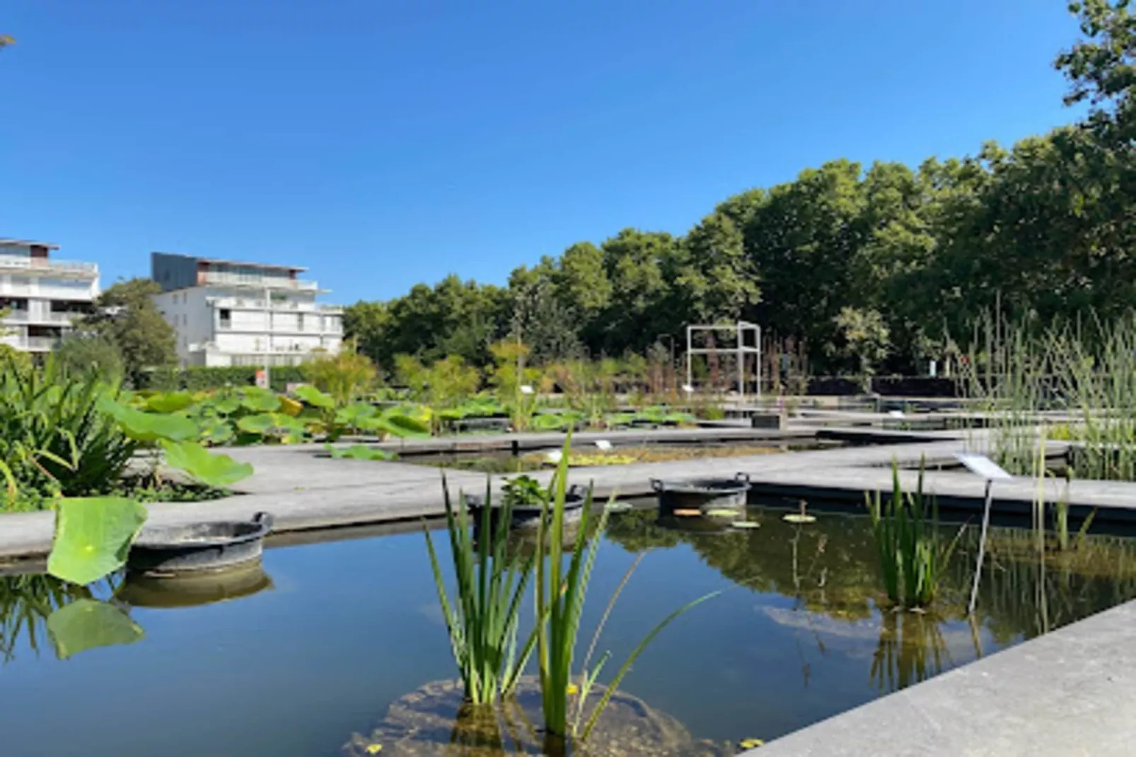 &eacute;l&eacute;gant Appartement Au C&oelig;ur Du Quartier Historique Saint-michel-Salon