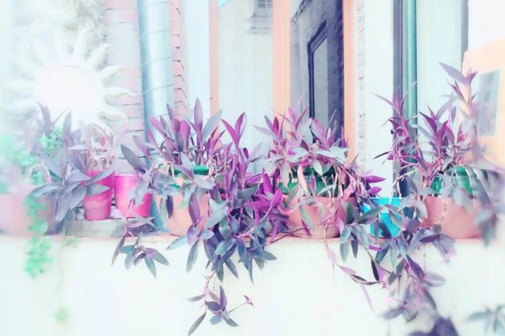 R&eacute;sidence St Vincent-Image-tags.