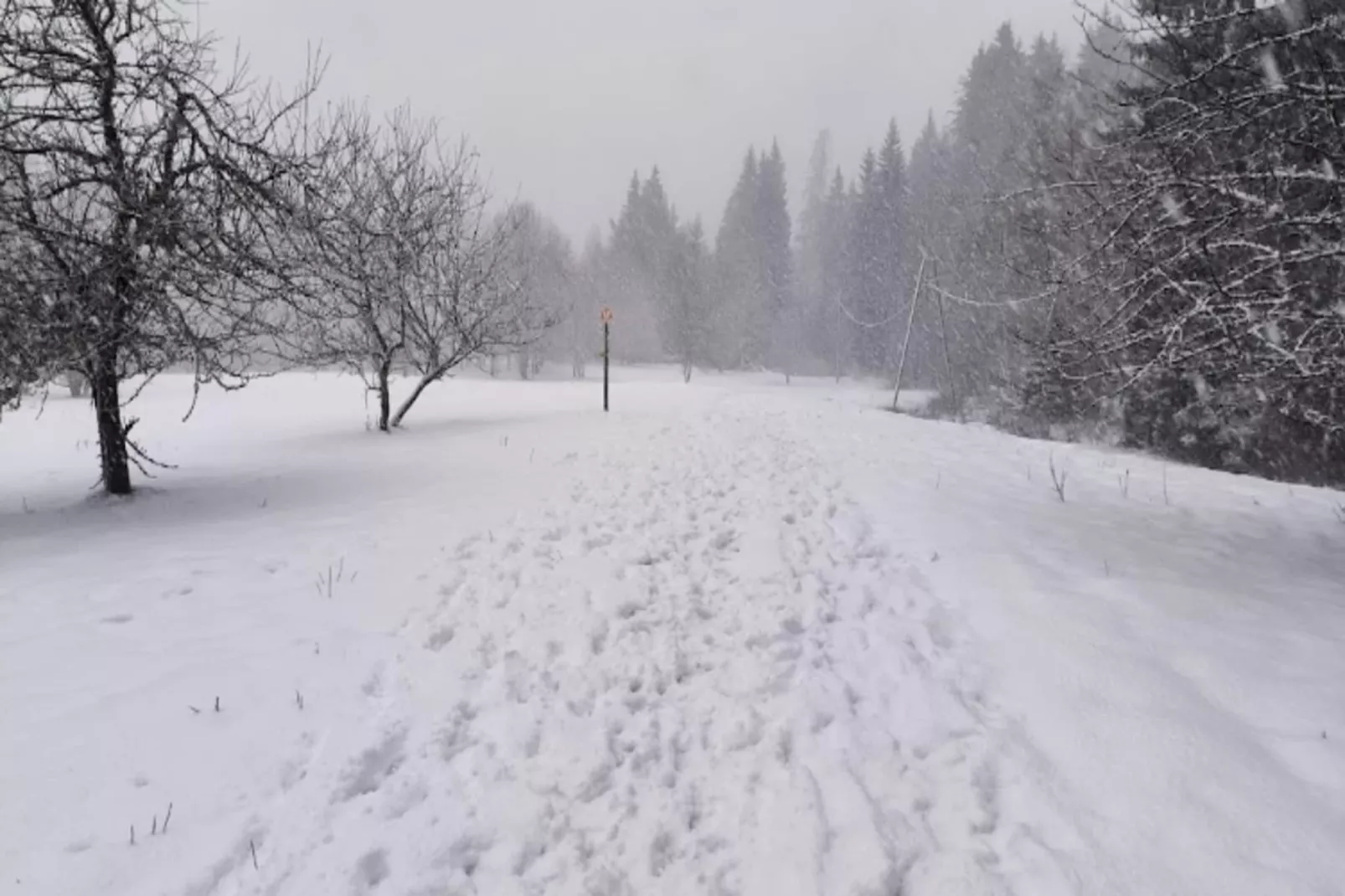 Résidence Jardin Alpin Bat B-Area within 1km in winter