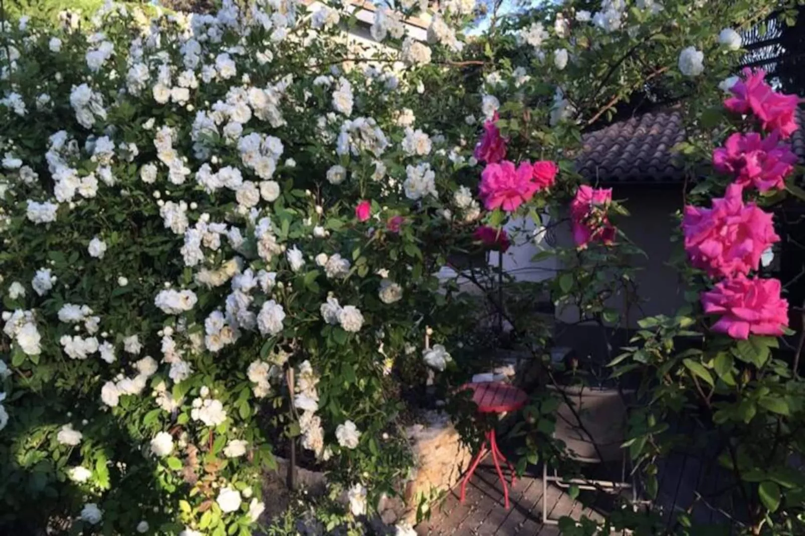 La Florentine - Maison Au C&oelig;ur De La Pin&egrave;de Avec Piscine Sans Vis &agrave; Vis-Image-tags.