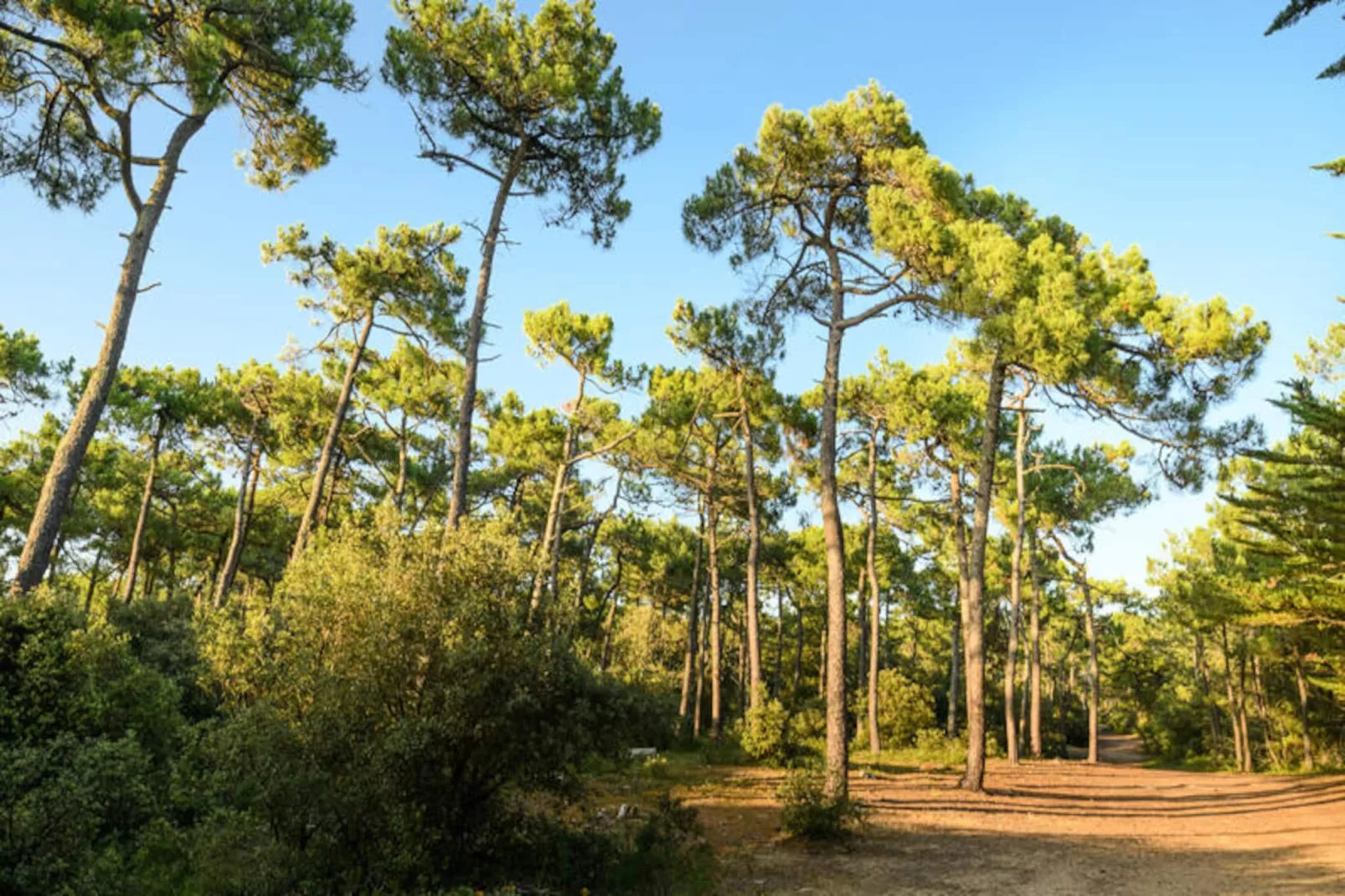 Appartements à Saint-Hilaire-de-Riez-Image-tags.