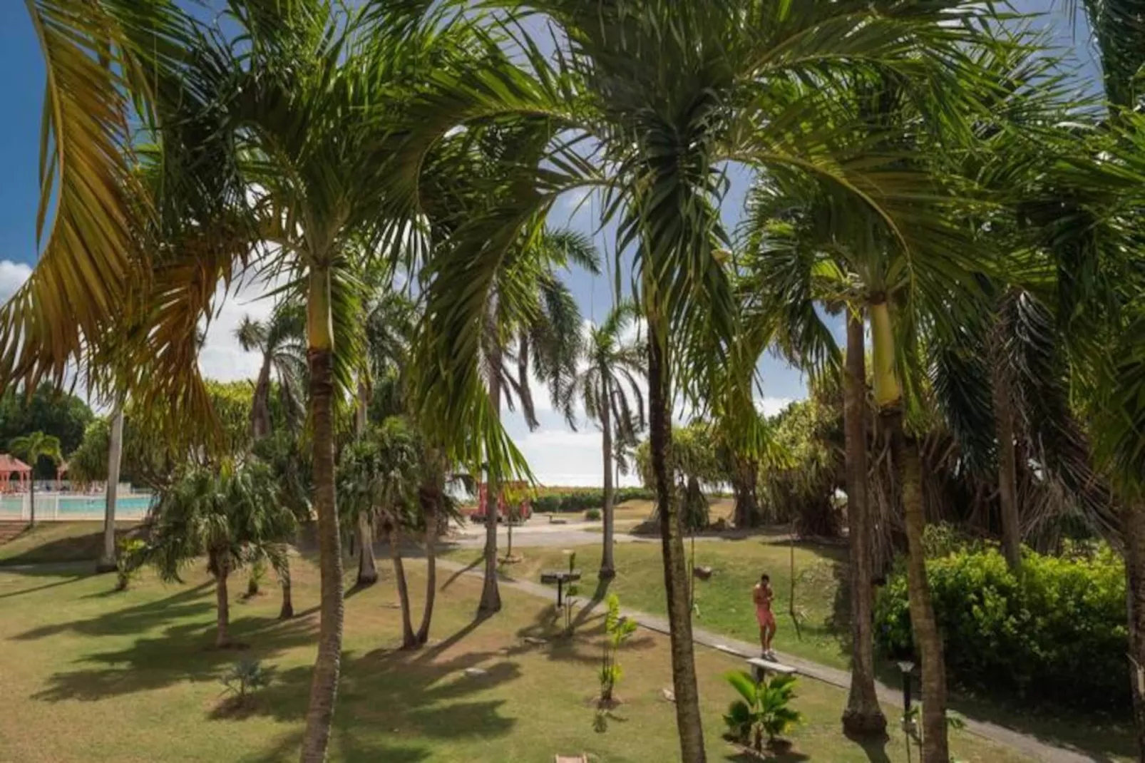 Appartement R&ecirc;ve D'outre Mer-Image-tags.