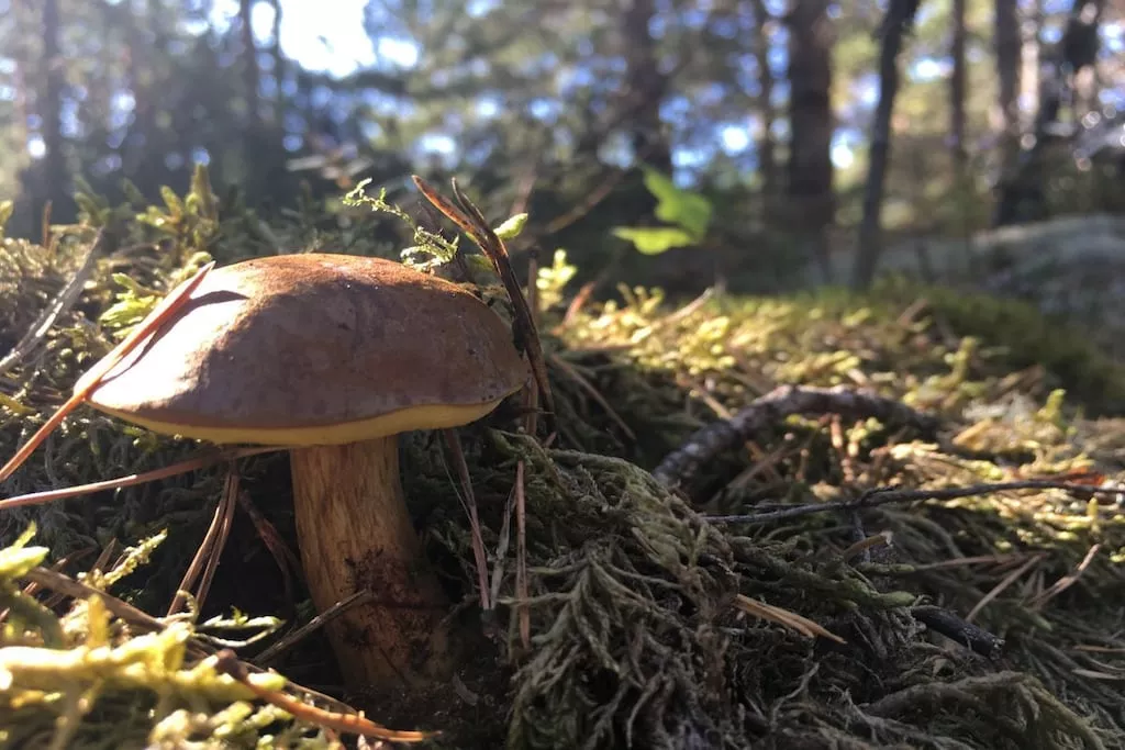 241000-Nicht zugeordnet