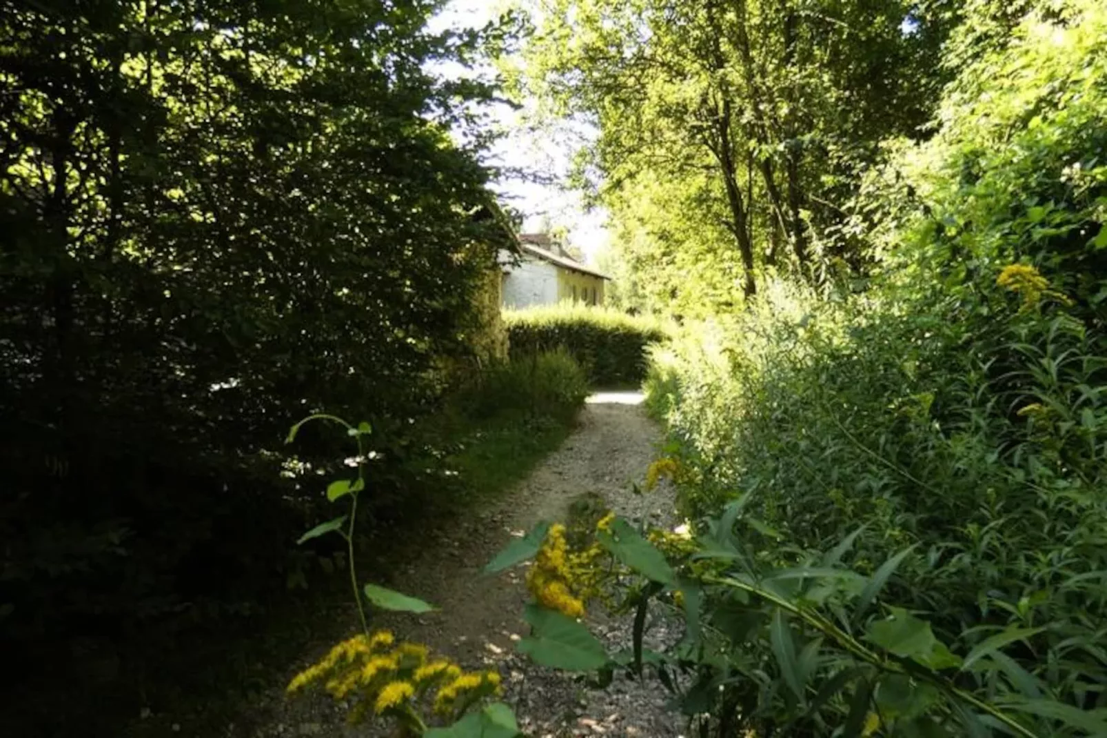 Résidence La Chartreuse De La Sylve B&eacute;nite, Maison Familiale-Image-tags.