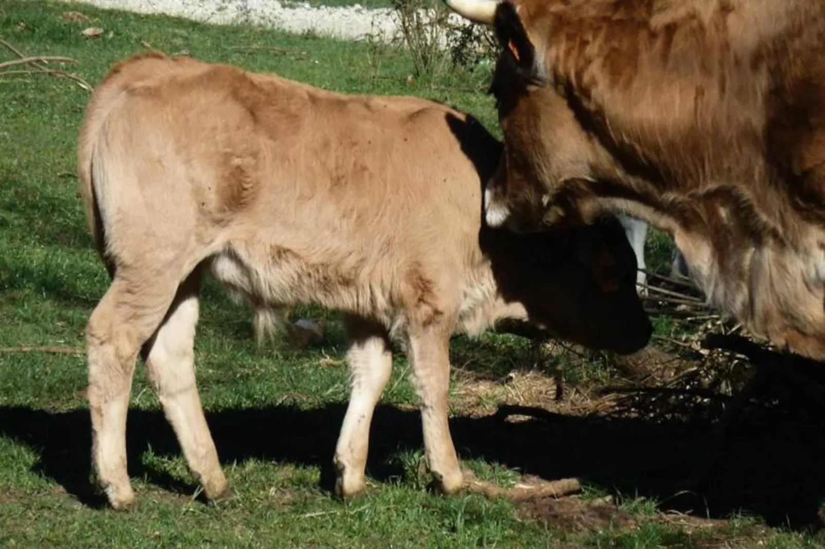 Gîte de France Gîte "la nature" 4 épis-Image-tags.