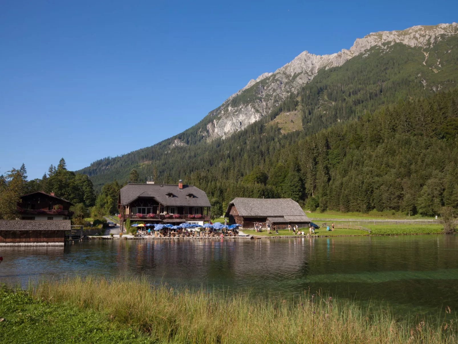 Schwarzenegg-Environnement