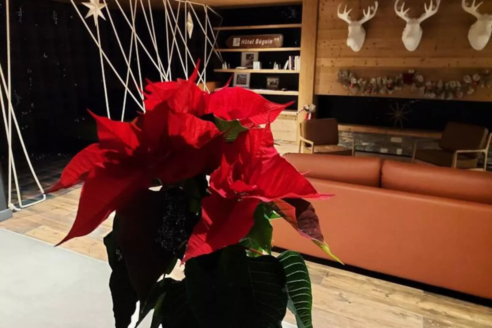 Résidence Le Ridge-Image-tags.