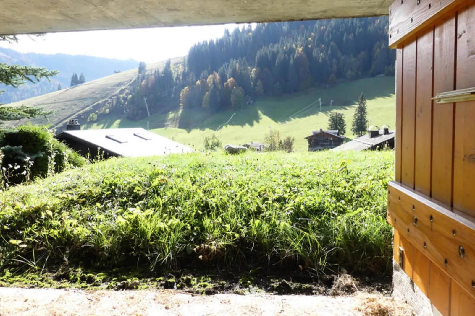 Chalets à La Clusaz-Zones été à 1 km