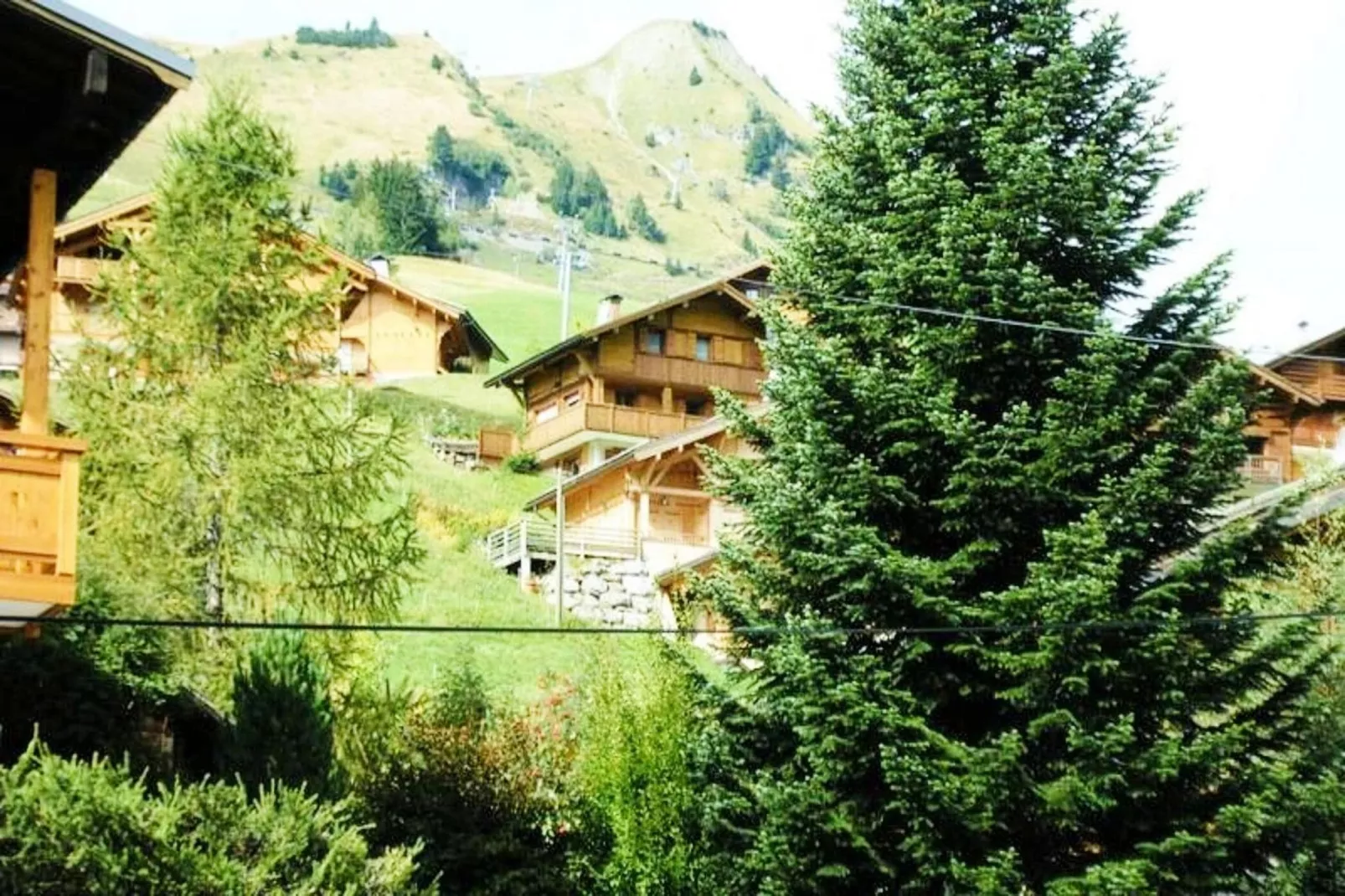 Résidence Piste Bleue-Ambiance