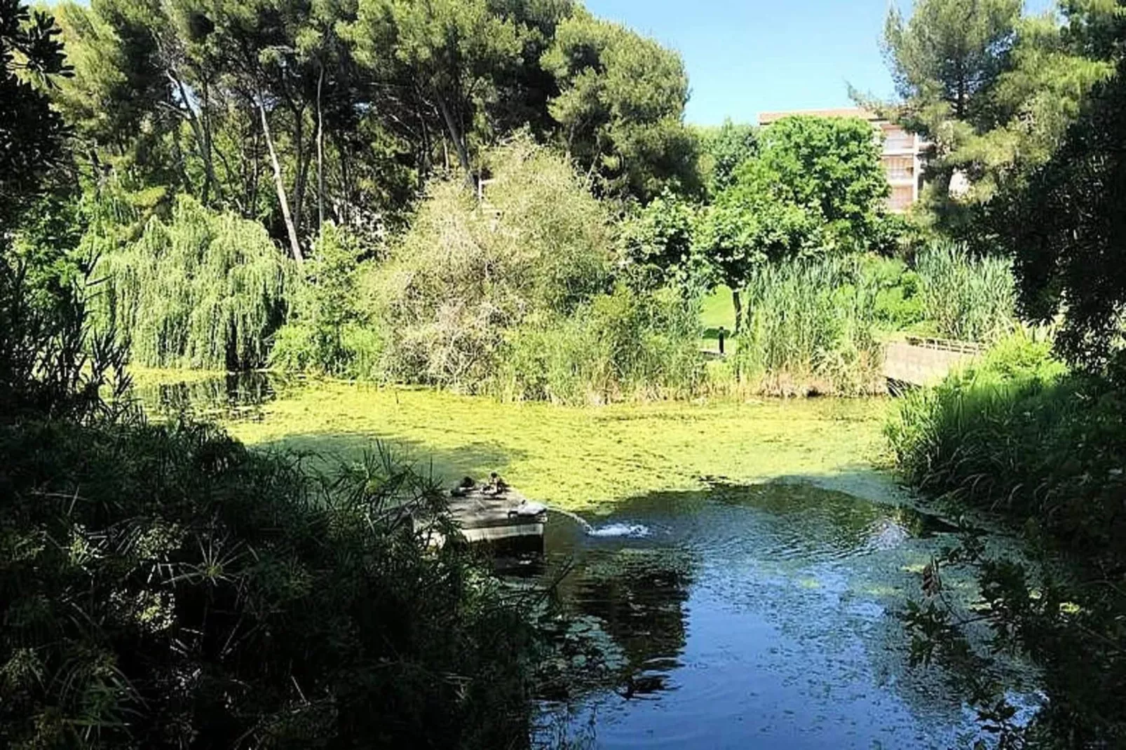 Résidence Marines D'aryana-Areas within 5km in summer