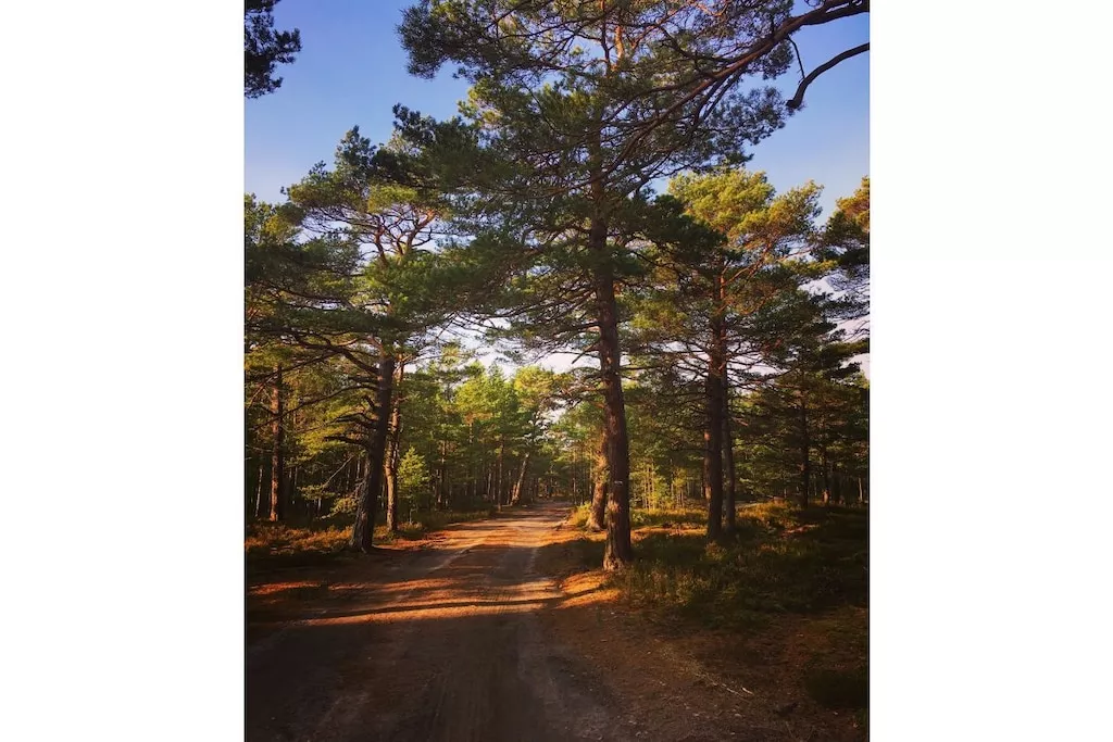 241000-Nicht zugeordnet