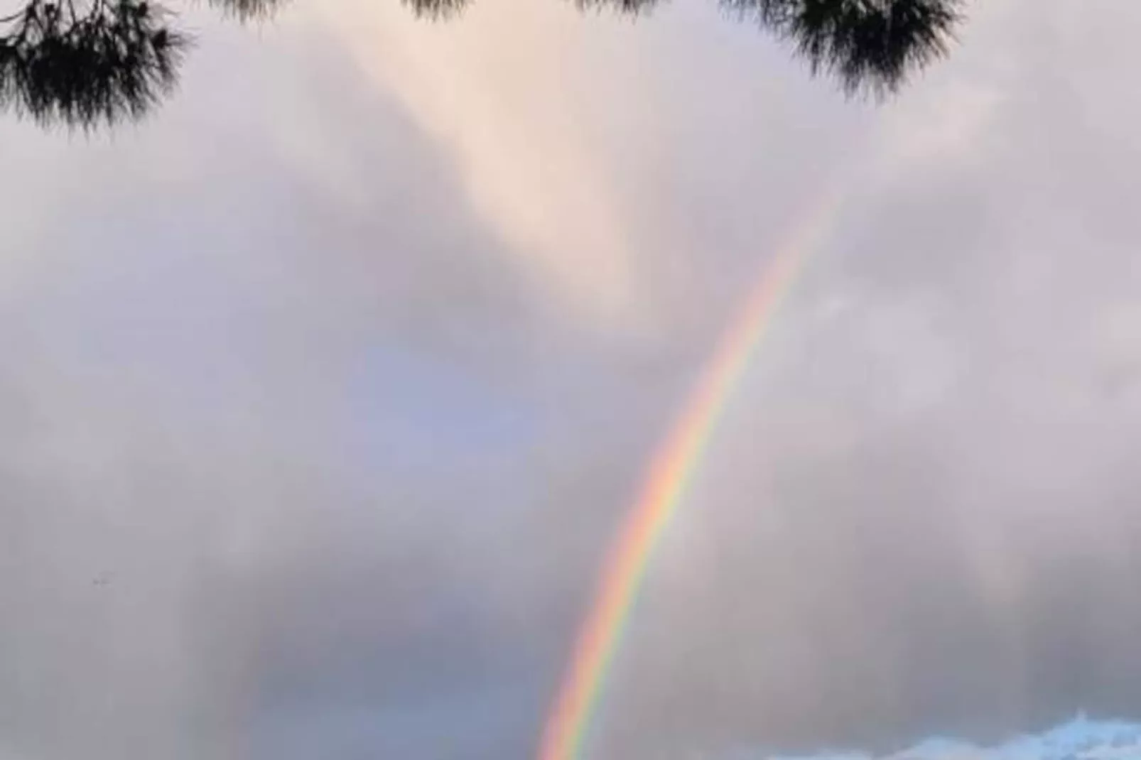 Résidence Un Jardin Proche De La Plage Et Commerces-Image-tags.