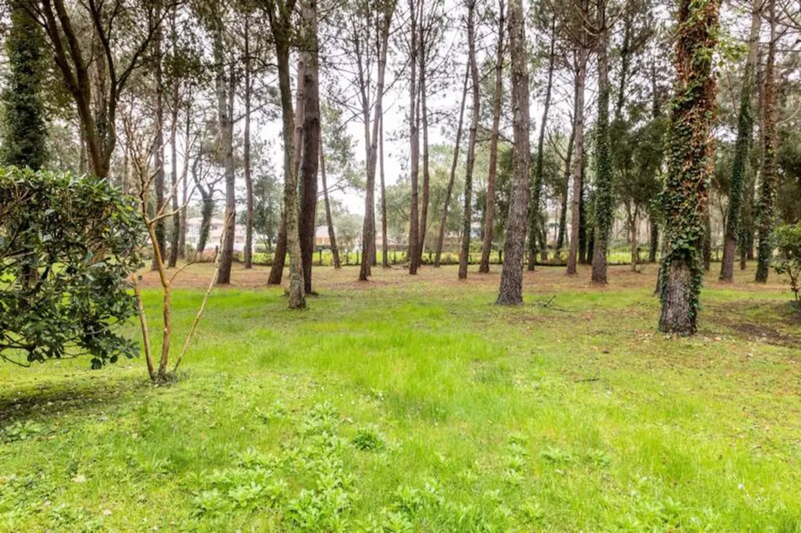 Les Maisons du Domaine du Golf de Pinsolle - maeva Home-Image-tags.