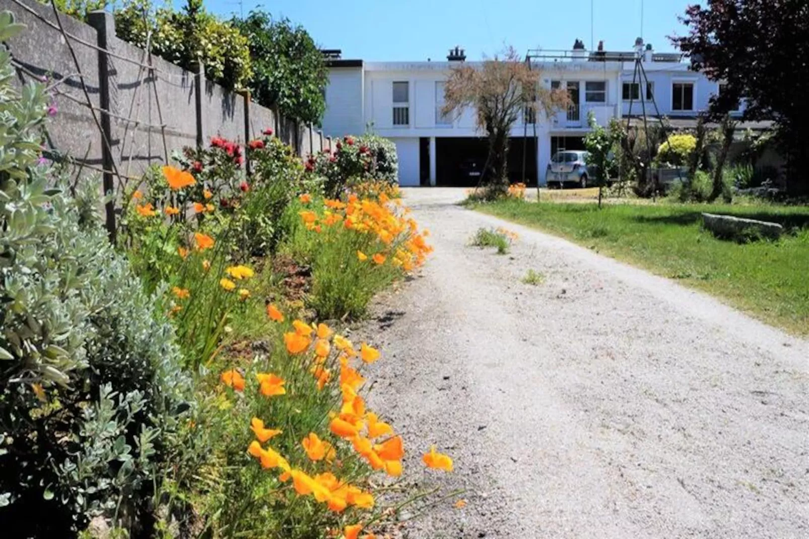 Résidence Tara-ploemeur-Image-tags.