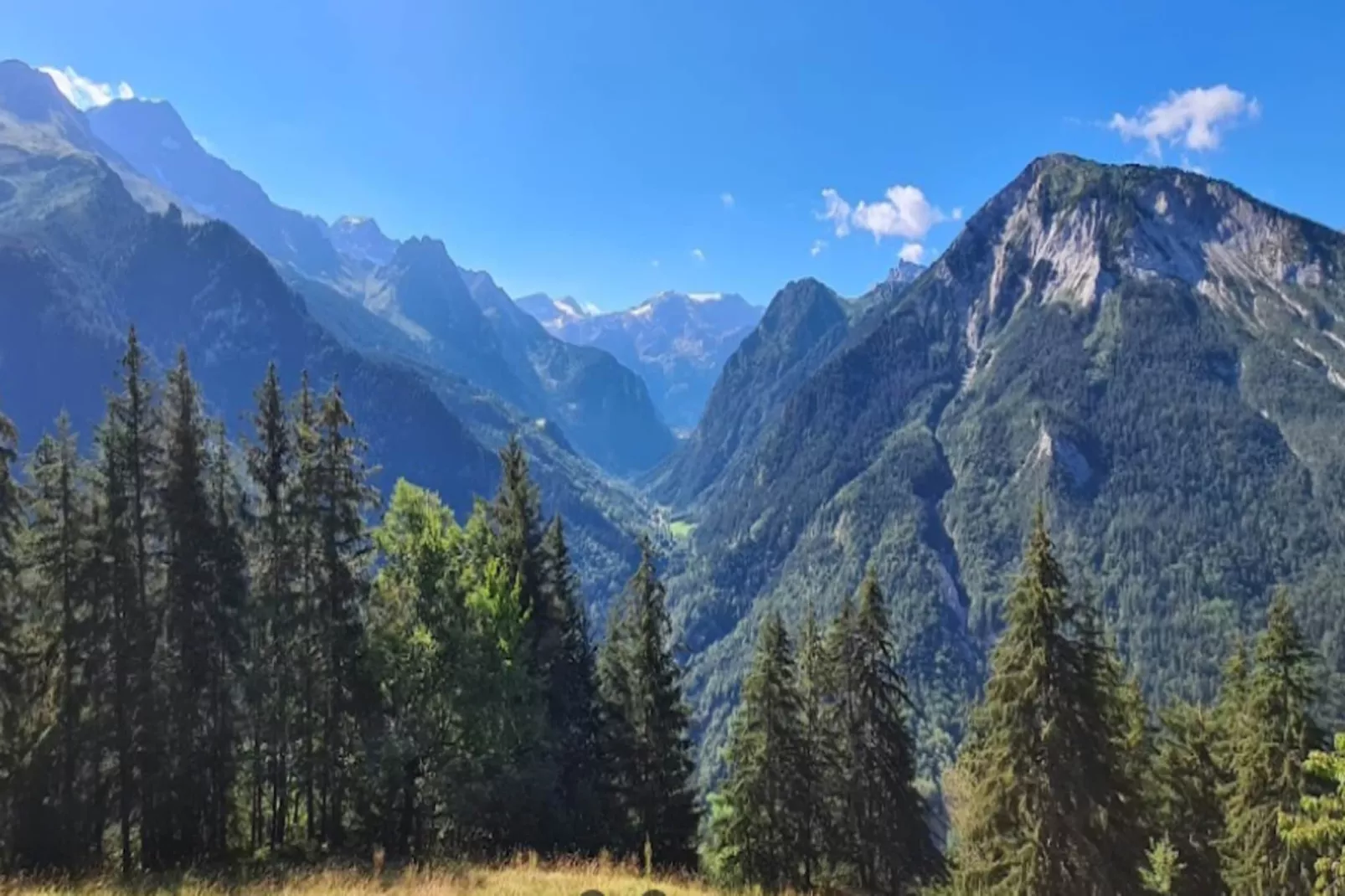 Résidence Dryades - Les Hauts De Planchamp-Areas within 5km in summer
