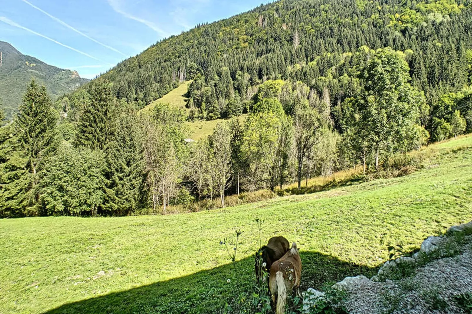 Appartements à Saint Jean d'Aulps-Areas within 1km in summer