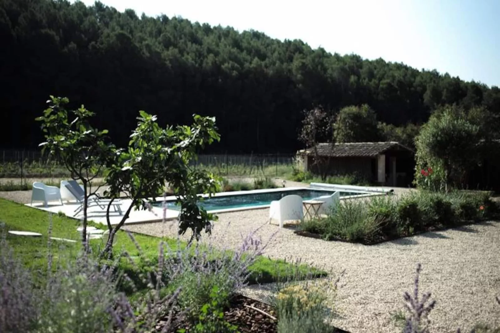 Vivez L'authenticit&eacute; &agrave; La Maison "au Pied Des Vignes"-Image-tags.